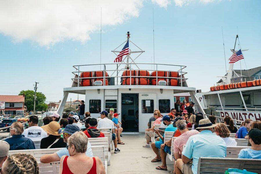 Cape May: Jersey Shore Whale and Dolphin Watching Cruise - Who should book this Cape May whale and dolphin cruise
