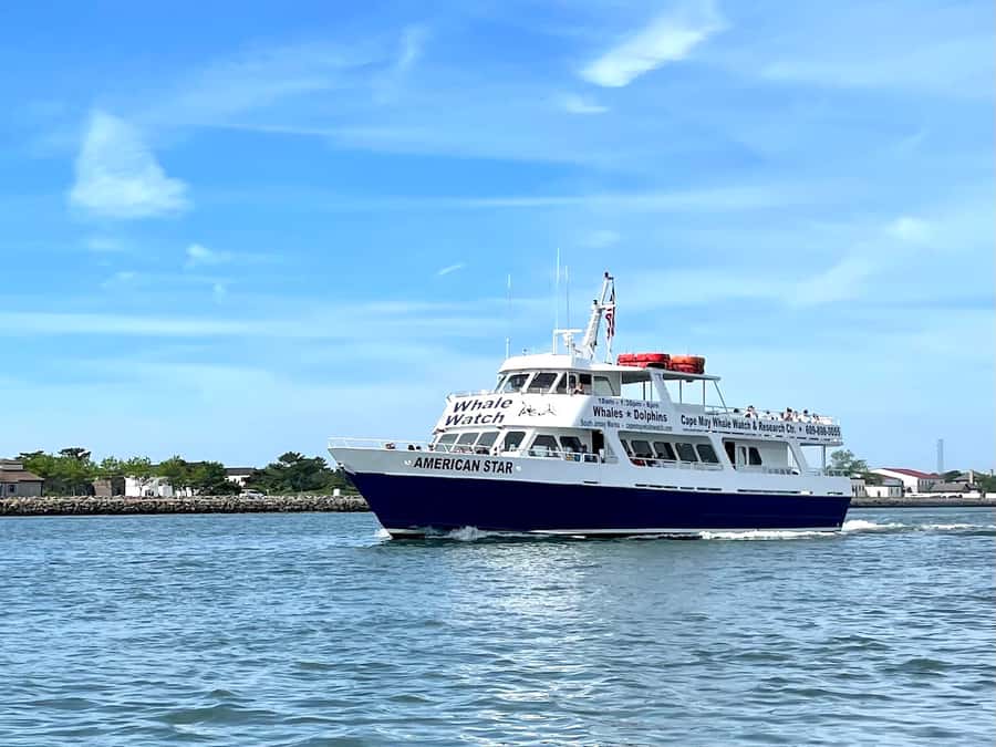 Cape May: Scenic Whale and Dolphin Watching Cruise - The 3-hour cruise rhythm that makes this work