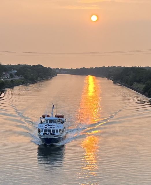 Cape May: Sunset Dolphin Watching Cruise with Food - The 2-hour boat ride: what it feels like on open water