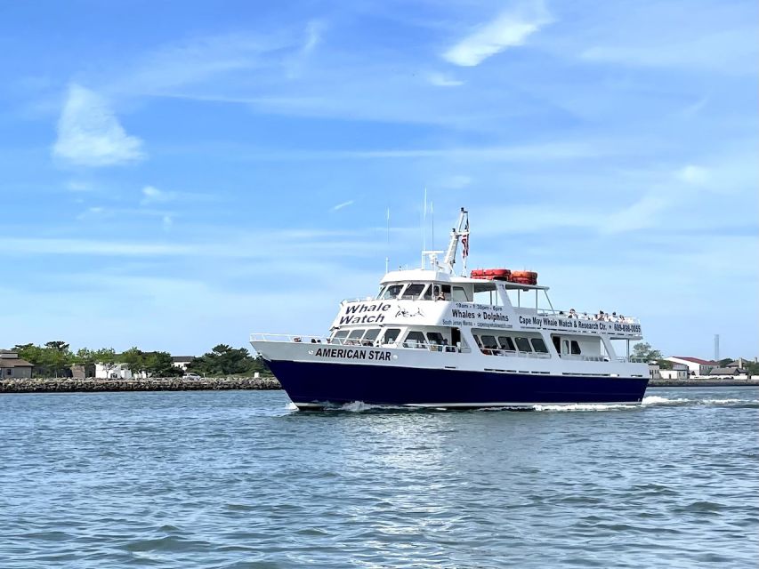 Cape May: Sunset Dolphin Watching Cruise with Food - Price and value: is $40 a bargain for two hours?