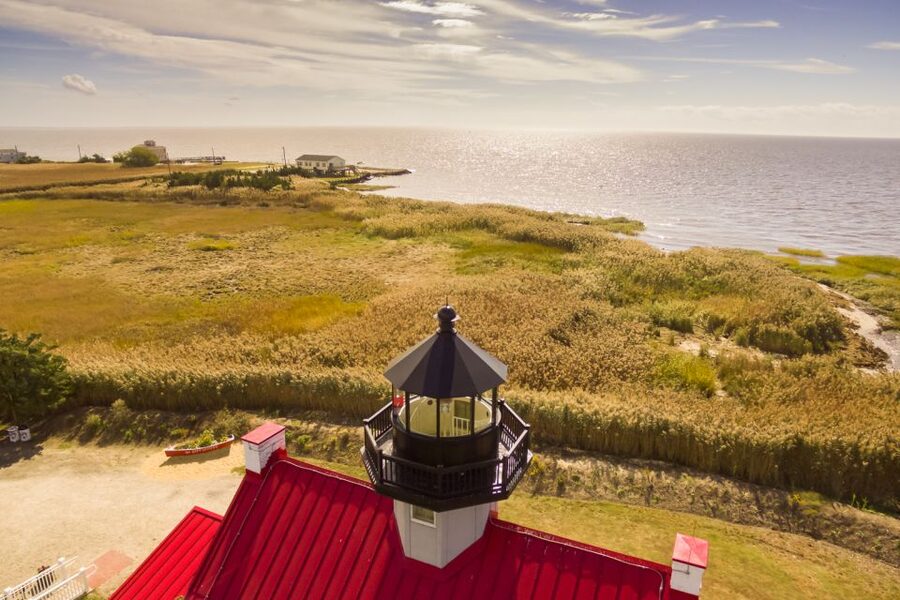 Cape May: Weekend Whale and Dolphin Watching Cruise - Key highlights at a glance