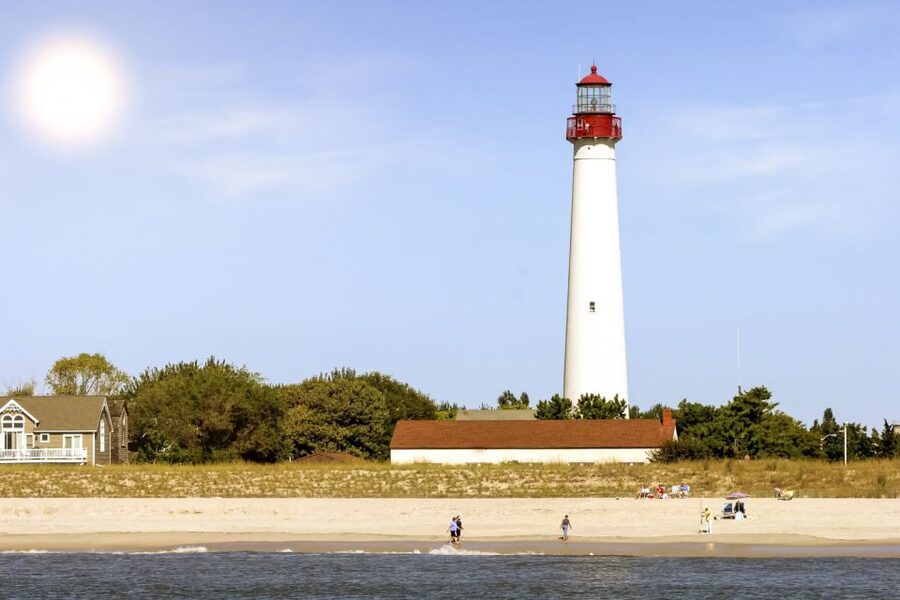 Cape May: Weekend Whale and Dolphin Watching Cruise - Should you book this Cape May whale and dolphin watching cruise?