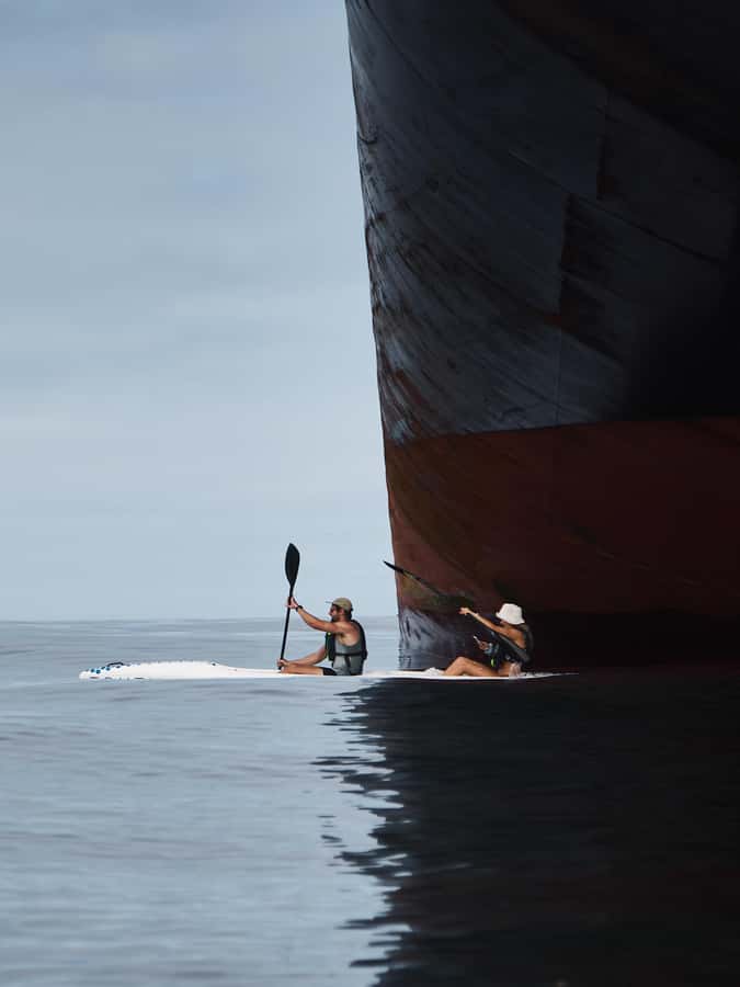 Cape Town: Dolphin & Ocean Wildlife Kayaking Adventure ⚓️ - Price and Value: What $37 Buys You in the Real World