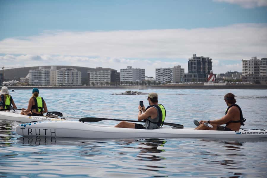 Cape Town: Dolphin & Ocean Wildlife Kayaking Adventure ⚓️ - Who Should Book This Dolphin and Ocean Wildlife Kayak Adventure?