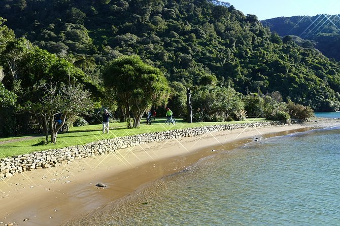 Captain Cook and Dolphin Cruise - What’s included, what’s not, and what to pack