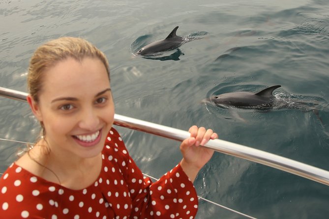 Captain Cook and Dolphin Cruise - Price and value: is $104.26 worth it?