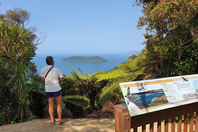 Captain Cook and Dolphin Cruise - Who should book this cruise from Picton?
