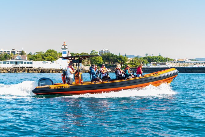 Cascais coast: Dolphin watching - Key things I’d focus on