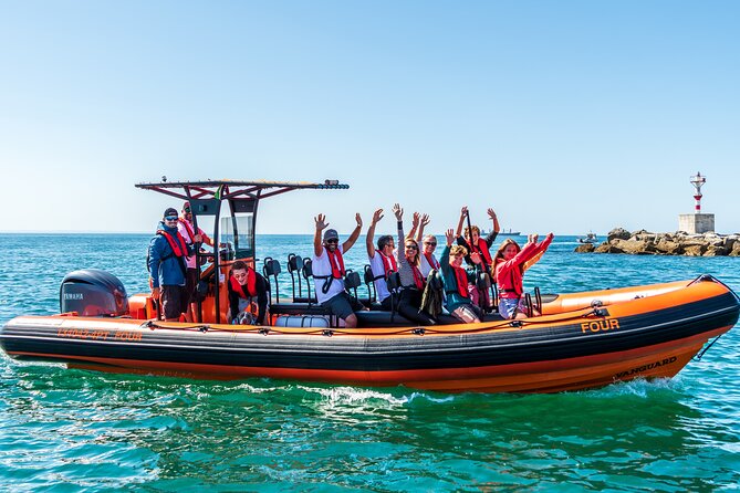 Cascais coast: Dolphin watching - Should You Book Cascais Coast Dolphin Watching?