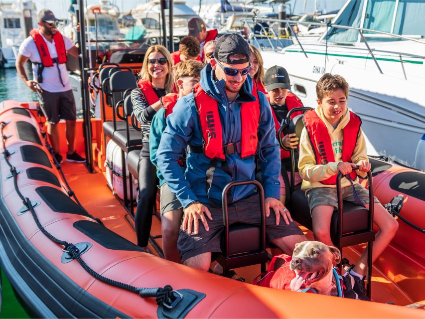 Cascais: Dolphin Watching Tour - Safety rules and animal distance: how the tour protects your sighting