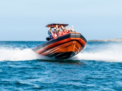 Cascais: Dolphin Watching Tour - The 2-hour dolphin watching routine: what happens once you leave the marina