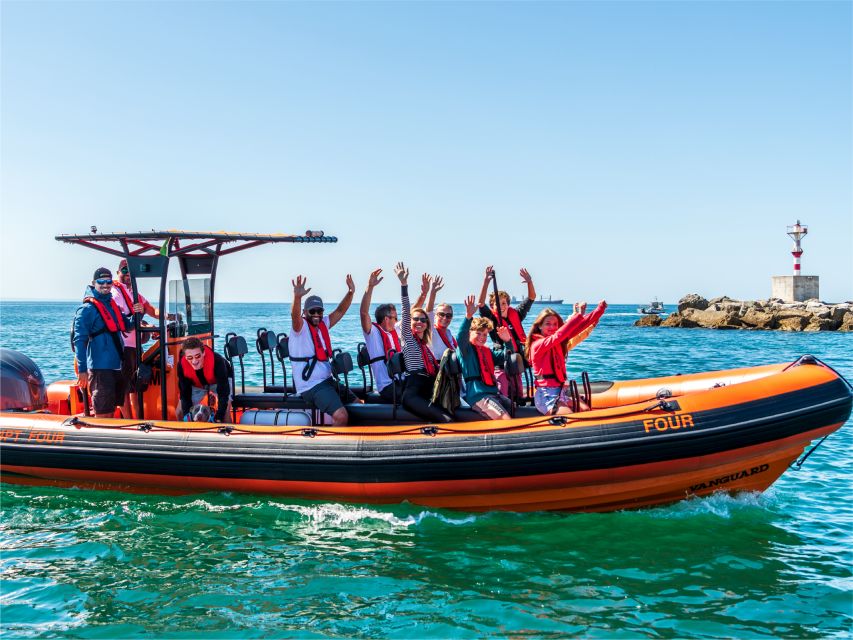 Cascais: Dolphin Watching Tour - Price and value: is $76 per person fair?