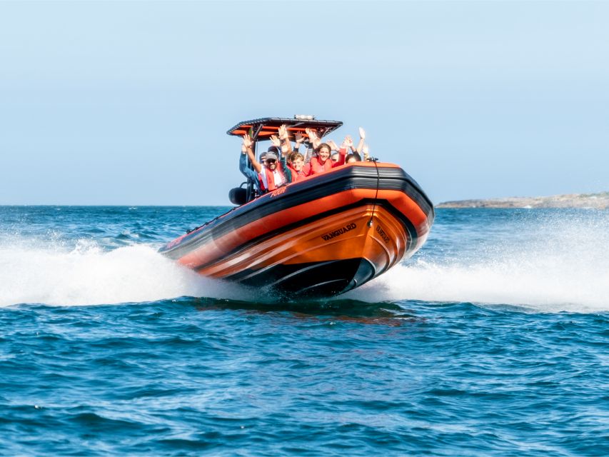 Cascais: Dolphin Watching Tour - The 2-hour dolphin watching routine: what happens once you leave the marina