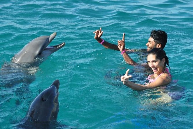 Catamaran Cruise to Ile Aux Bénitiers: Dolphin watch, Crystal Rock & Transfer - Crystal Rock: the best views come when you time your photos