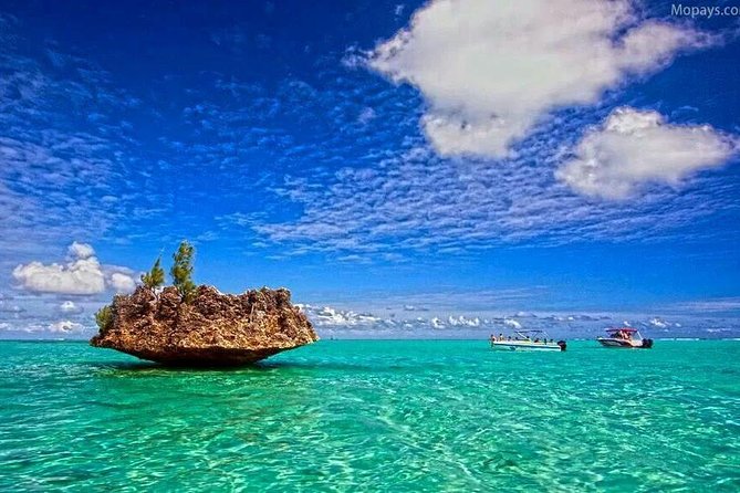 Catamaran Cruise to Ile Aux Bénitiers: Dolphin watch, Crystal Rock & Transfer - Comfort on the catamaran: what to expect when conditions vary