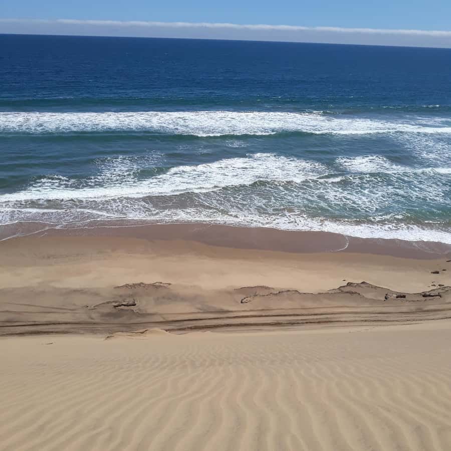 Catamaran Dolphin Cruise and Sandwich Harbour Tour - The !Nara Valley Dune Drive to Sandwich Harbour: Riding the Namib