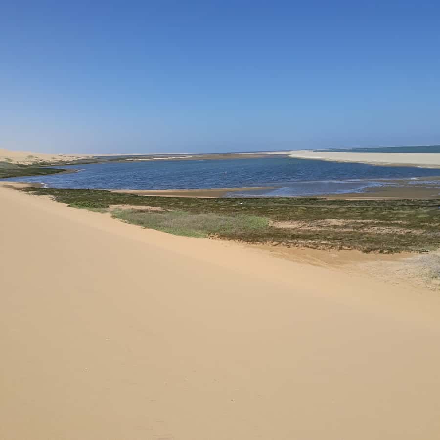 Catamaran Dolphin Cruise and Sandwich Harbour Tour - What You Get for $224: Value, Not Just a Price Tag