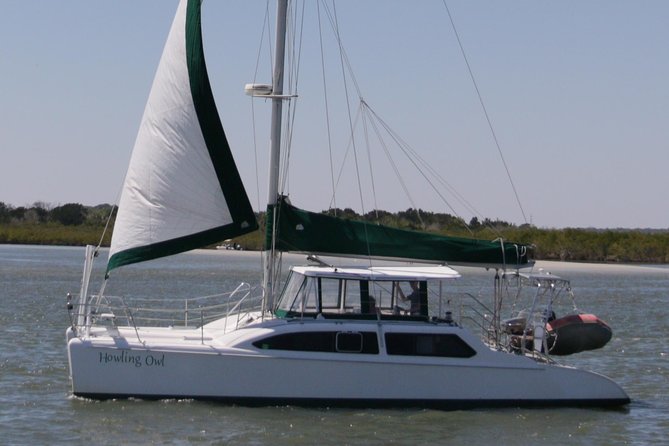 Catamaran Sailing Dolphin/Manatee Watch in Daytona Beach - Key things to know before you go