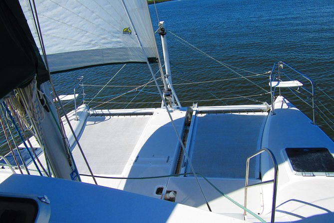 Catamaran Sailing Dolphin/Manatee Watch in Daytona Beach - Price and value: is $64 a smart buy?