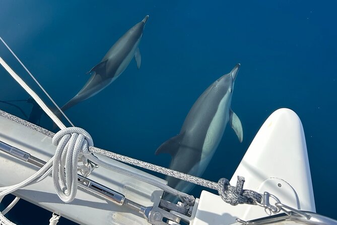 Catamaran Sailing Experience Manilva Tapas Drink Dolphins Swim Stop - Quick highlights for your afternoon at sea