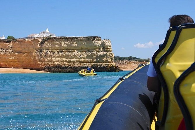 Caves and Dolphin Watching Cruise from Albufeira - Key Highlights You’ll Care About