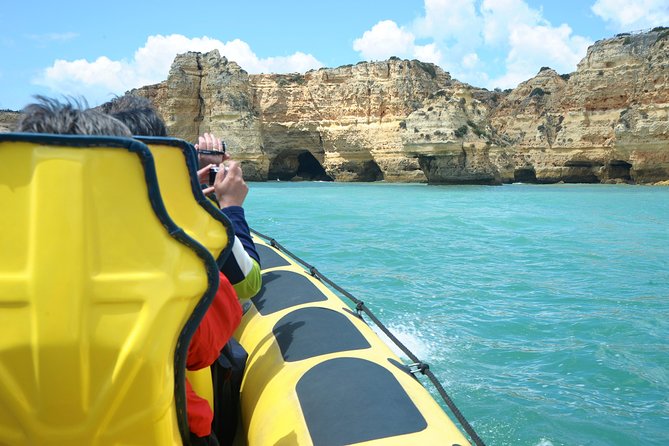 Caves and Dolphin Watching Cruise from Albufeira - Dolphin Watching: How the Search Works (and What Increases Your Odds)