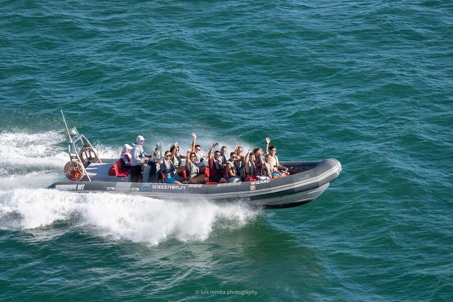 Caves & Dolphins - Combined Trip - Key highlights worth your attention