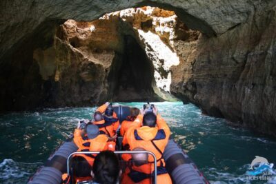 Caves & Dolphins - Combined Trip - The dolphin search: more than just hoping for a show