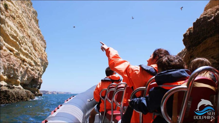 Caves & Dolphins - Combined Trip - Who this tour is best for (and who should skip it)
