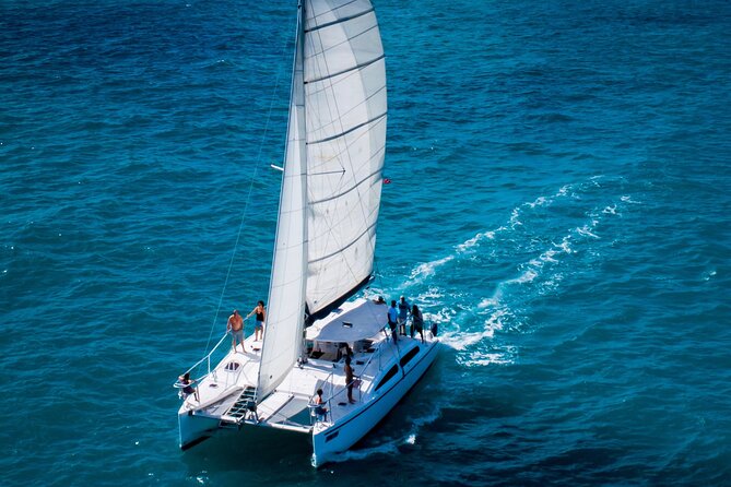 Champagne Dolphin Sail and Reef Snorkel - Key Points Before You Go