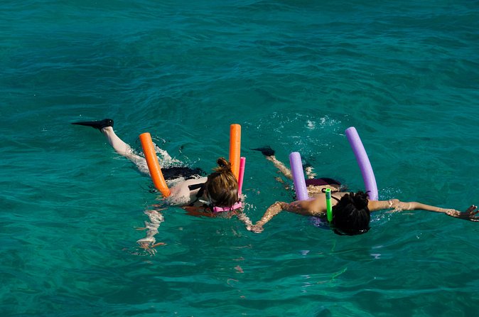 Champagne Dolphin Sail and Reef Snorkel - Meeting at 7001 Shrimp Rd: Getting There Without Stress