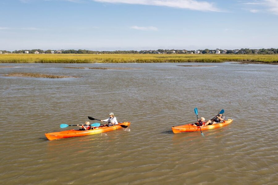 Charleston: Folly Beach Afternoon Kayak Dolphin Safari - Key highlights worth your attention
