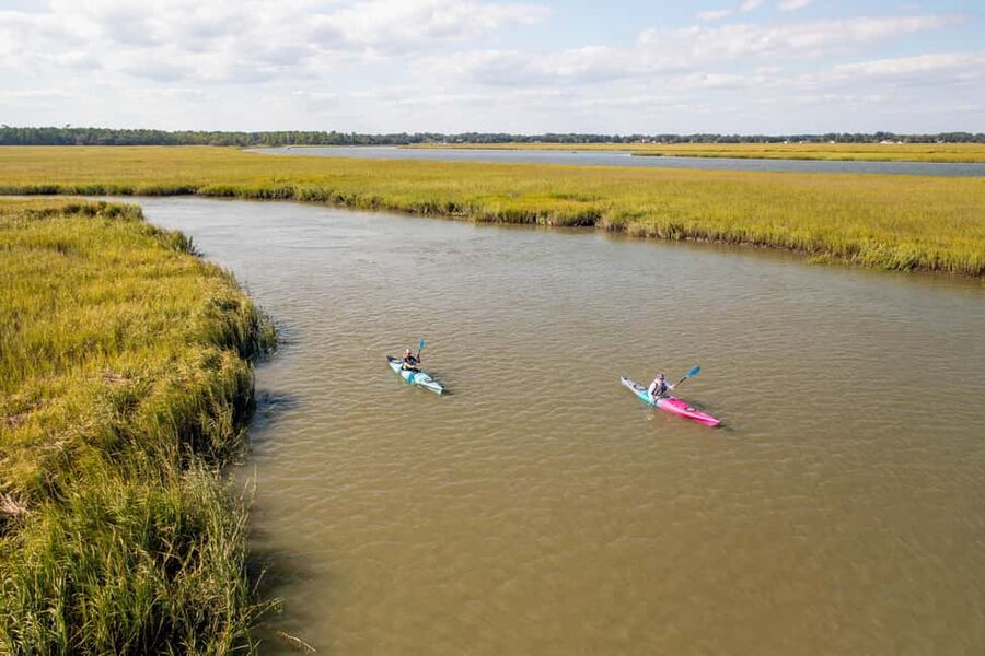 Charleston: Folly Beach Kayak Dolphin Safari - Should You Book It?