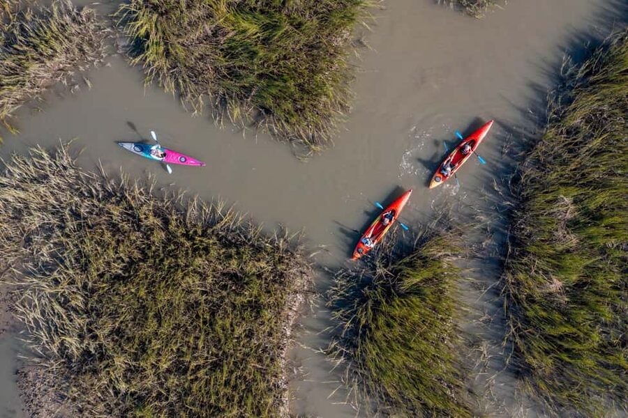 Charleston: Folly Beach Kayak Dolphin Safari - Dolphin Safari on Folly River: How to Make the Most of Your Chances