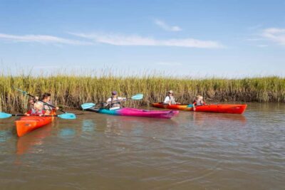 Charleston: Folly Beach Kayak Dolphin Safari - On the Water: Following Tides and Staying Comfortable