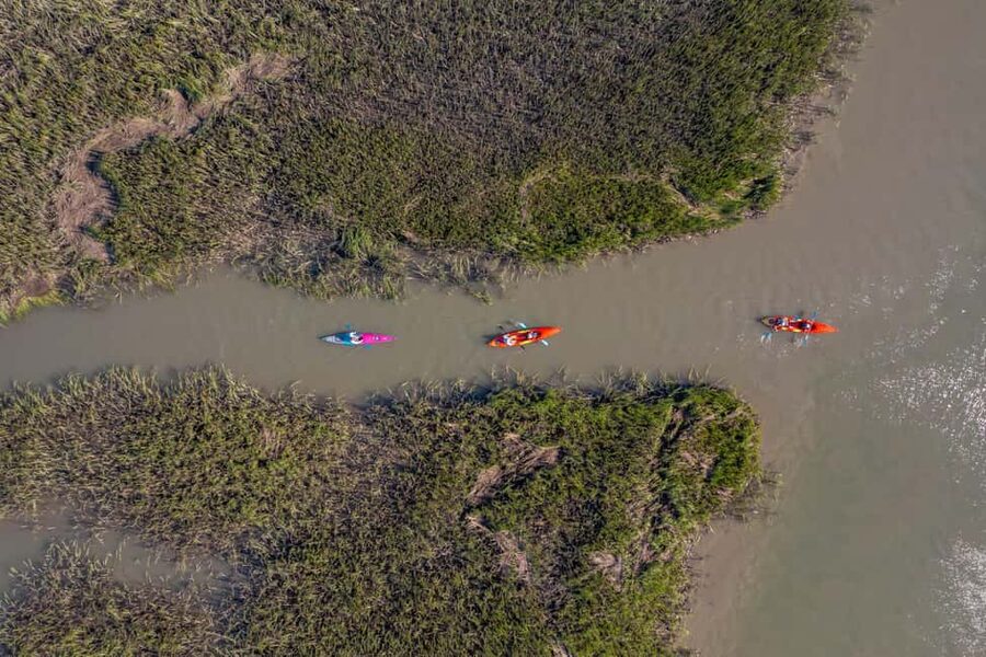 Charleston: Folly Beach Kayak Dolphin Safari - Price and Value: Is $50 a Good Deal?