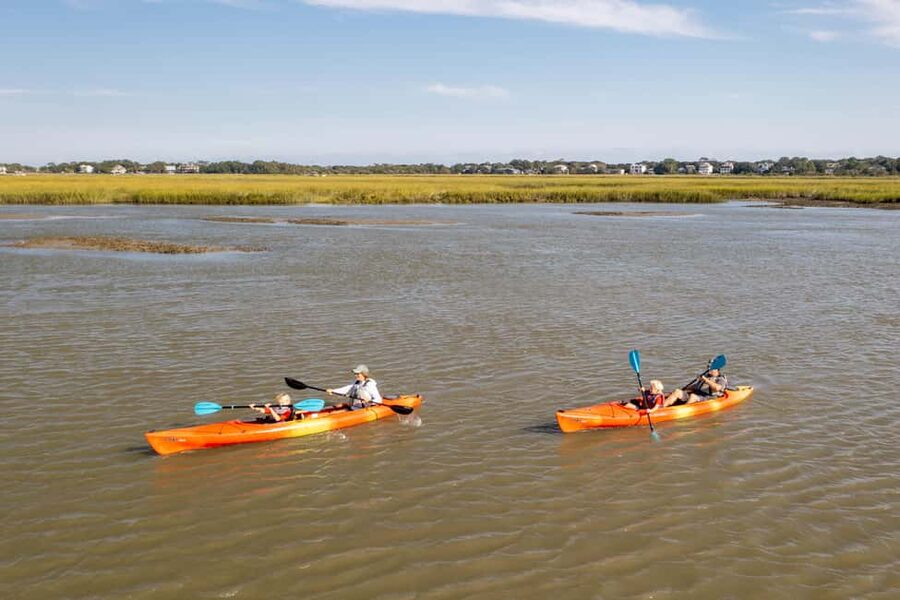 Charleston: Folly Beach Kayak Dolphin Safari - Timing Options: Morning, Afternoon, and Sunset