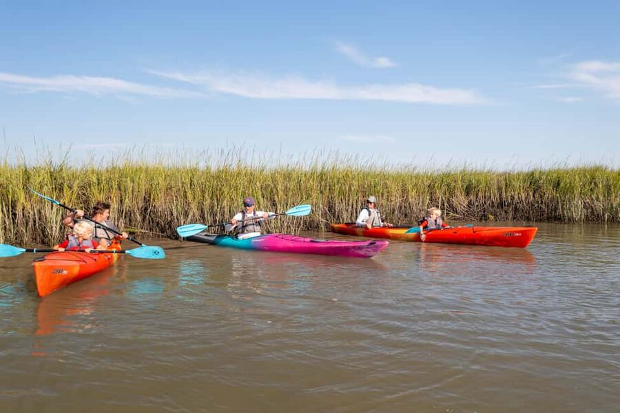Charleston: Folly Beach Morning Kayak Dolphin Safari - Folly River From Sea Monkeys: Your 2-Hour Dolphin Kickoff