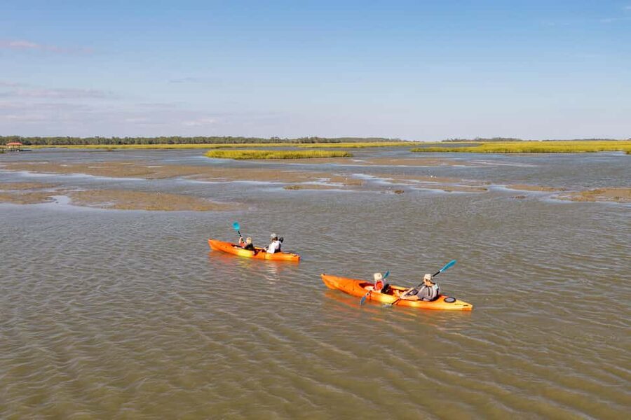 Charleston: Folly Beach Morning Kayak Dolphin Safari - What to Bring (So You Stay Comfortable On-Water)