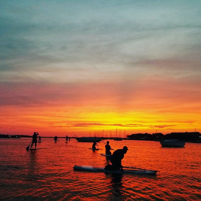 Charleston: Folly Beach Stand Up Paddleboard Dolphin Safari - Key points before you book Charleston SUP Safaris