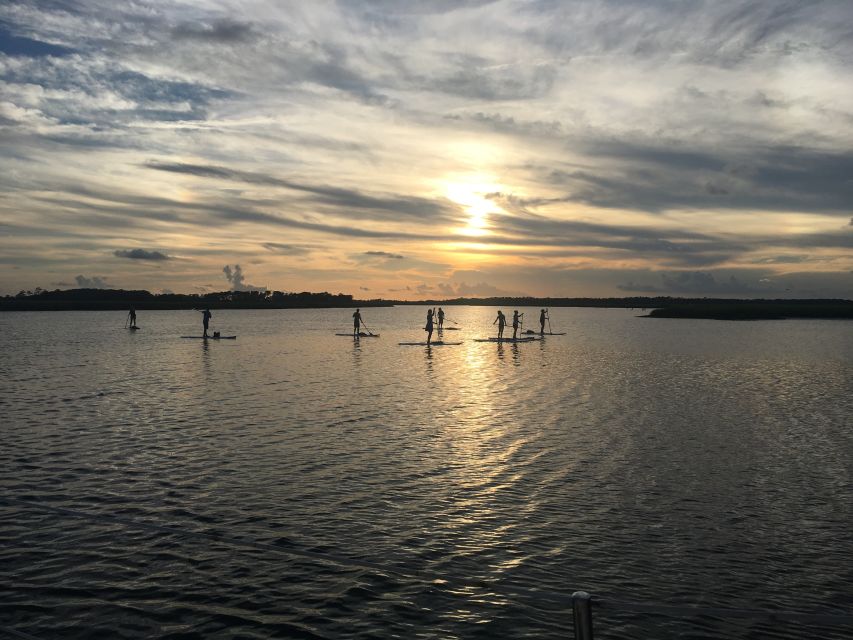 Charleston: Folly Beach Stand Up Paddleboard Dolphin Safari - Who should book this Charleston SUP dolphin safari?