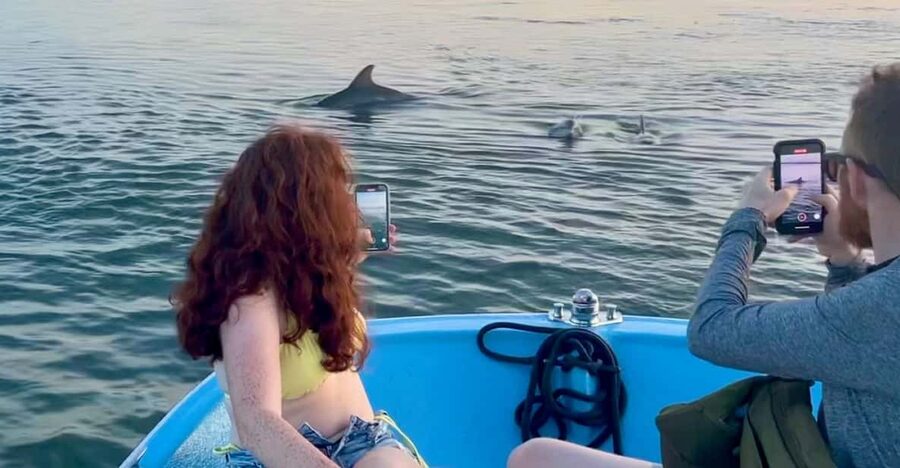 Charleston: Morris Island Dolphin Cruise with Beachcombing - Key takeaways before you go