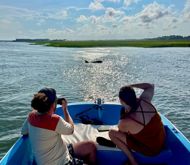 Charleston: Morris Island Dolphin Cruise with Beachcombing - Who this Morris Island dolphin cruise suits best