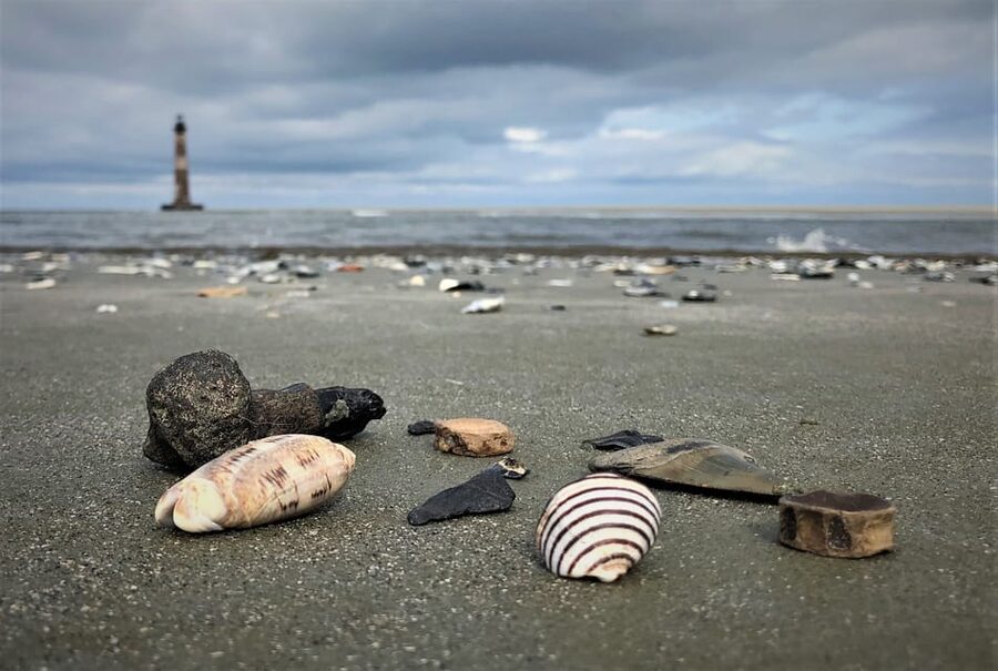 Charleston: Morris Island Dolphin Cruise with Beachcombing - Dolphin watching from the boat: how to maximize your chances