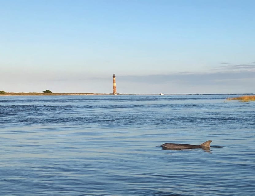 Charleston: Morris Island Dolphin Cruise with Beachcombing - Price and what you actually get for $105