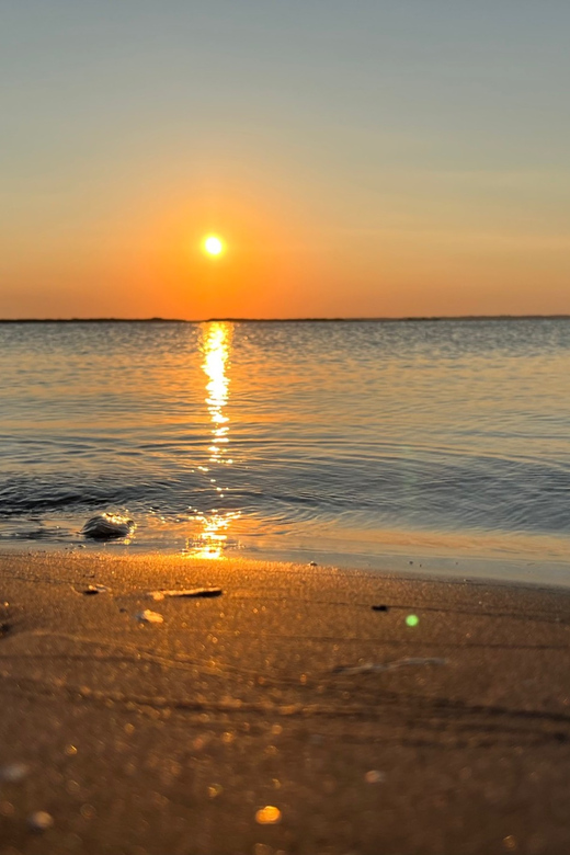 Charleston: Morris Island Dolphin Cruise with Beachcombing - Your best timing: short trip, big payoff
