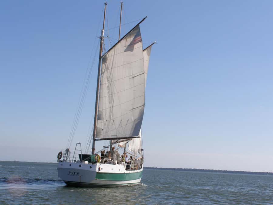 Charleston: Schooner Sailing Harbor Tour & Dolphin Watch - Before you sail: what happens after you board