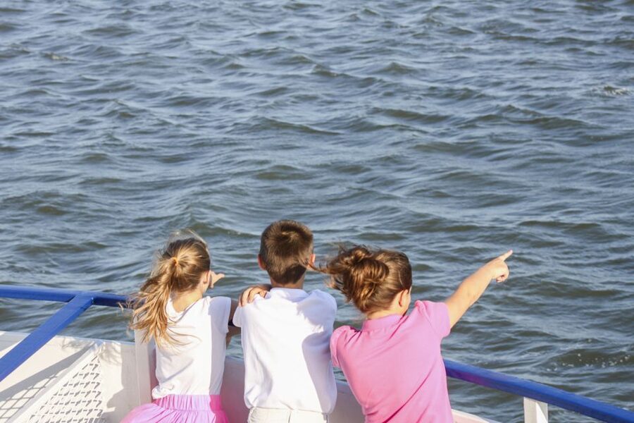Charleston: Sightseeing Harbor Tour & Dolphin Watch - Timing, comfort, and how to plan your day