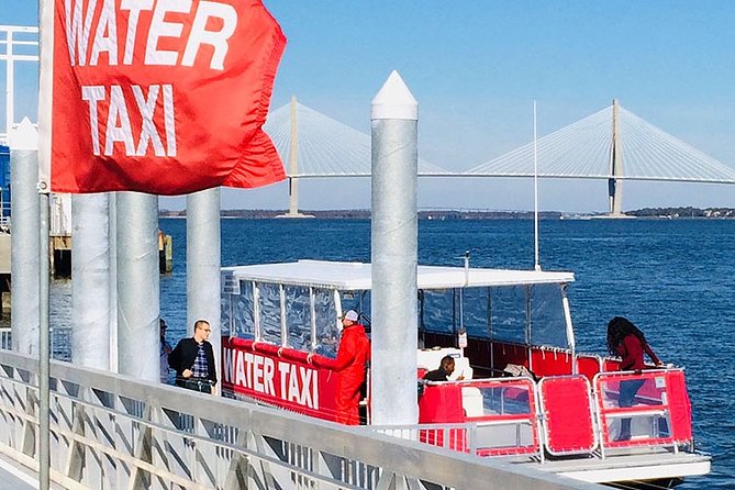 Charleston Water Taxi Cruise with Dolphin Sighting - Key things you’ll notice on this cruise