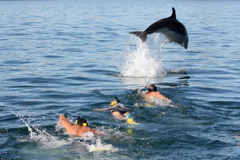 City Of Side: Dolphin Island Boat or Side Boat Tour Options - Getting There: Pickup Times, Dock Waits, and How to Beat the Hassle